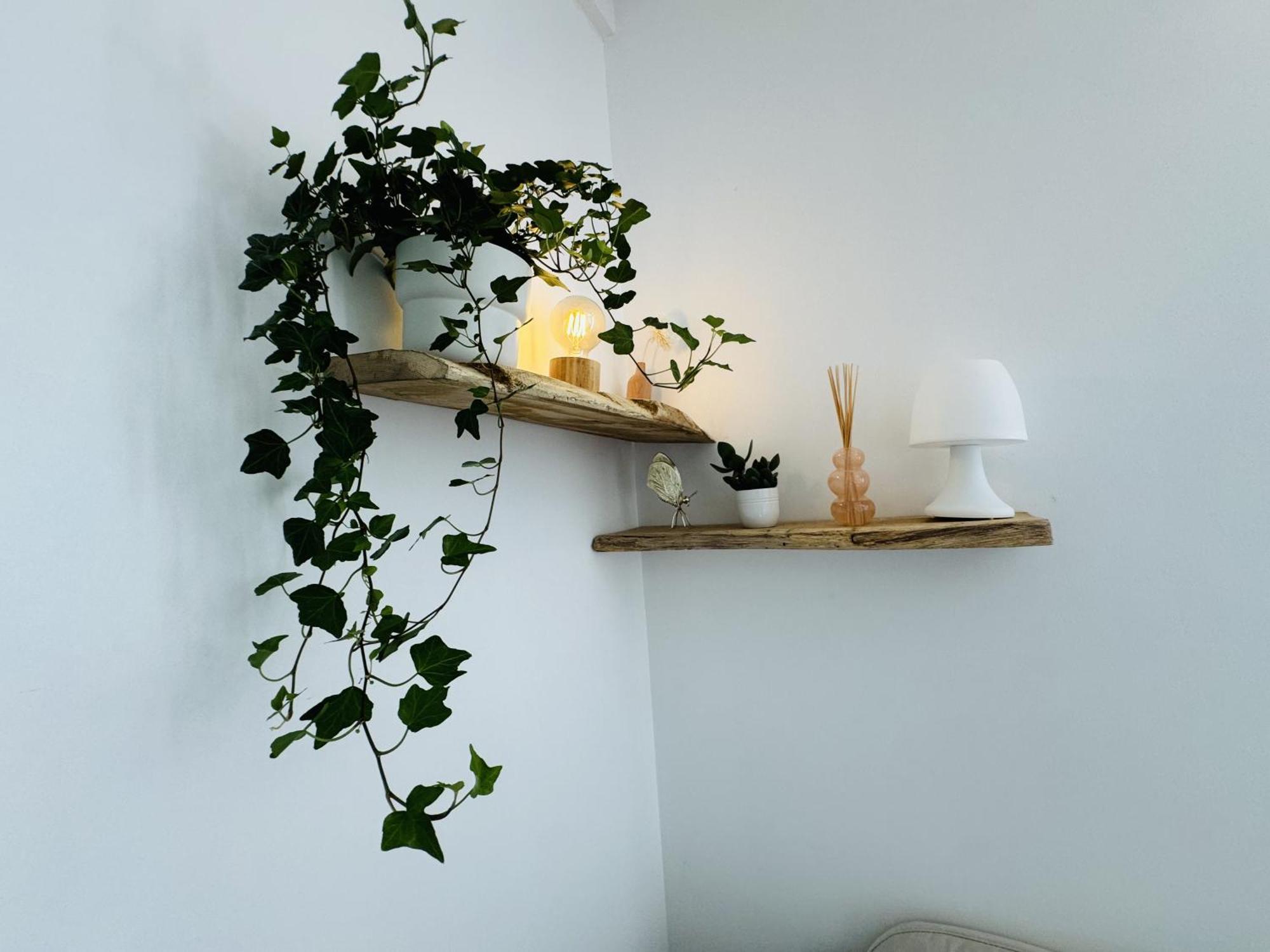 Le Piccolo - Appartement Cosy - Wifi Begles Exterior photo